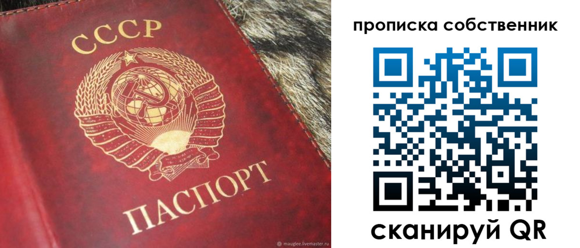 прописка в квартире в Змеиногорске